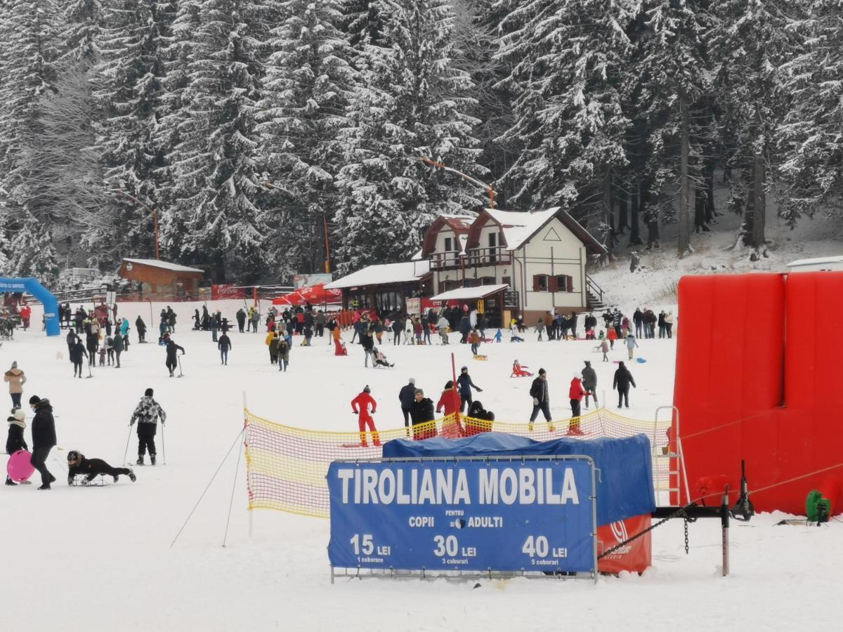 Cabana Fantanita Cu Brazi Poiana Brasov Exterior photo
