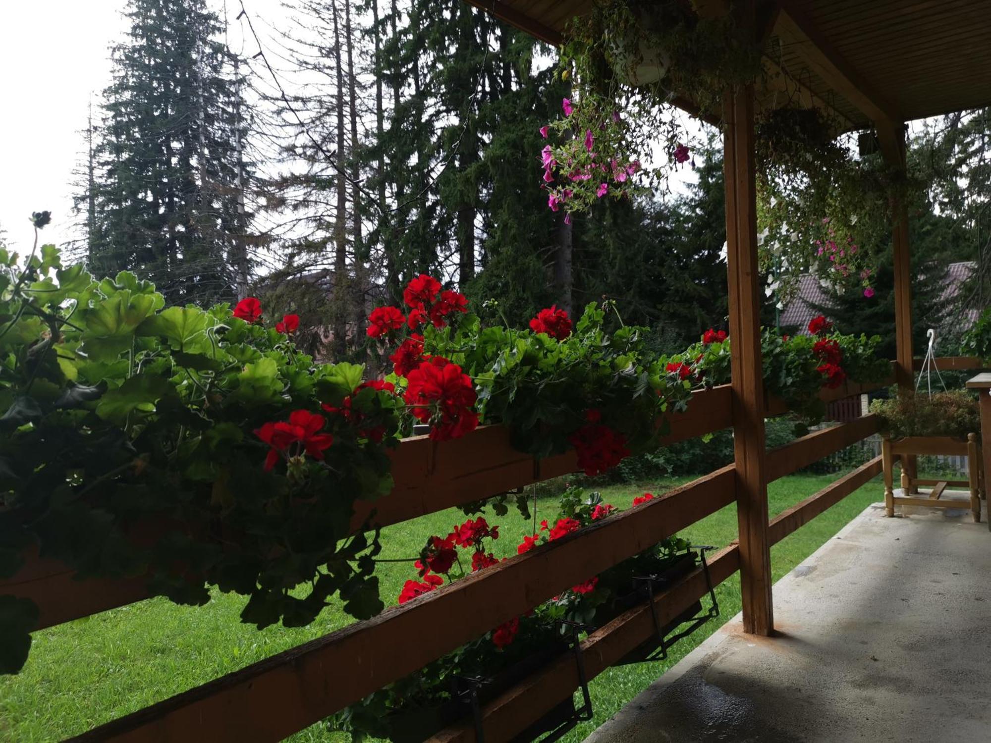 Cabana Fantanita Cu Brazi Poiana Brasov Exterior photo