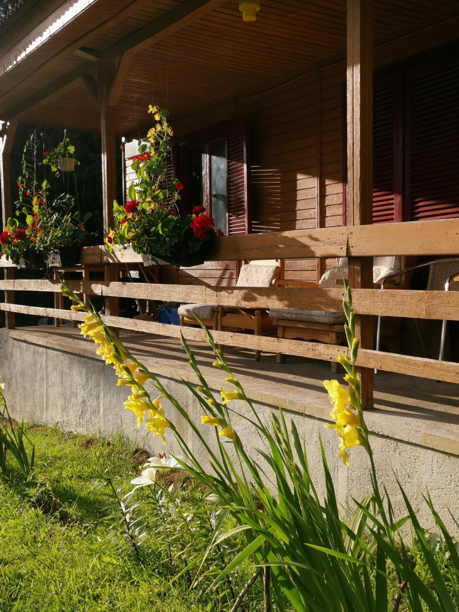 Cabana Fantanita Cu Brazi Poiana Brasov Exterior photo